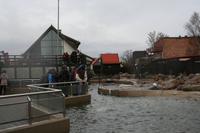 Robbenstation in Hela