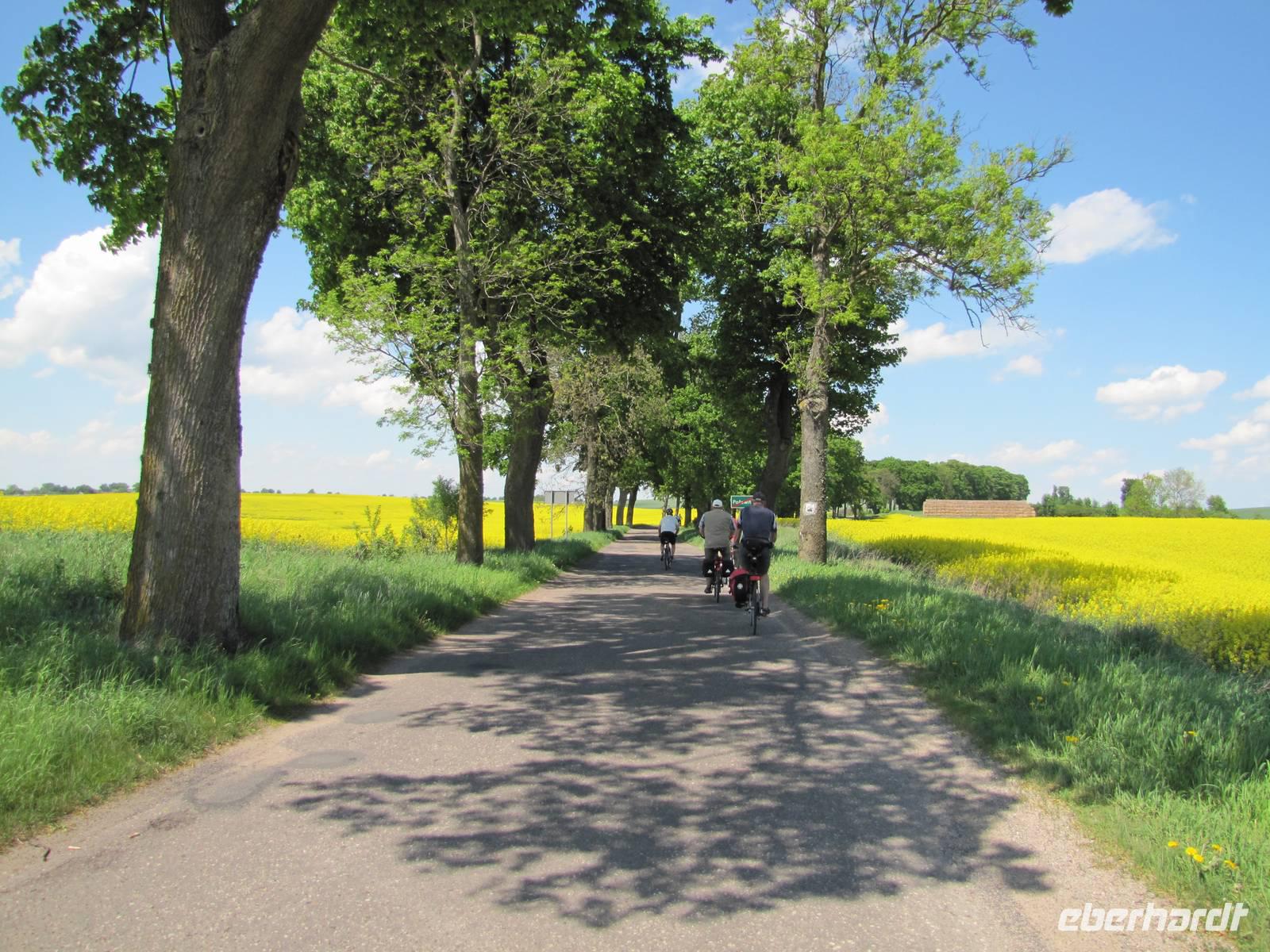 Radtour entlang des Oberländer Kanals