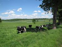 Radtour entlang des Oberländer Kanals