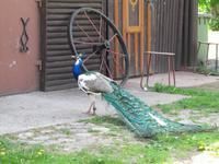 Radtour nach Rössel und zur 