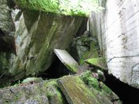 Besuch der Wolfsschanze - Hitlerbunker