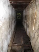 Besuch der Wolfsschanze - Hitlerbunker