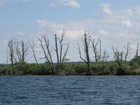 Schifffahrt nach Lötzen 