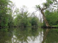 Paddelboottour auf dem Fluss Krutynía