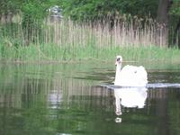 Paddelboottour auf dem Fluss Krutynía