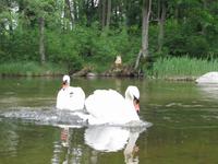 Paddelboottour auf dem Fluss Krutynía