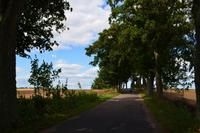 020 Masurische Alleenstraße