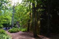 059 Wolfsschanze, gesprengter Bormanns-Bunker