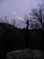 Feuer speiender Drache