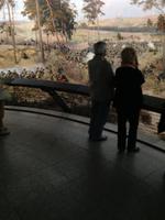 Brelau - im Panorama