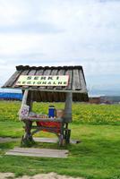 Auf der Fahrt in die Hohe Tatra 