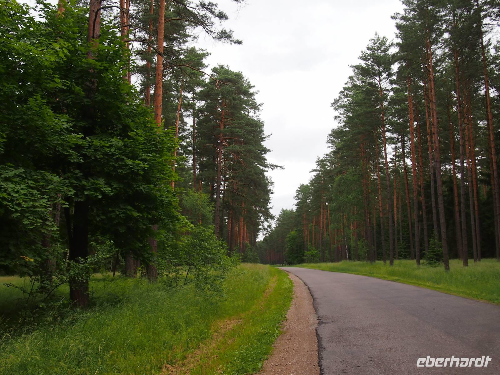 Johannisburger Heide