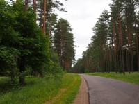 Johannisburger Heide