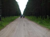 Johannisburger Heide