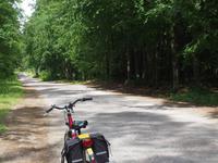 Johannisburger Heide