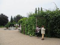 Seltene Gewächse sind zu bestaunen