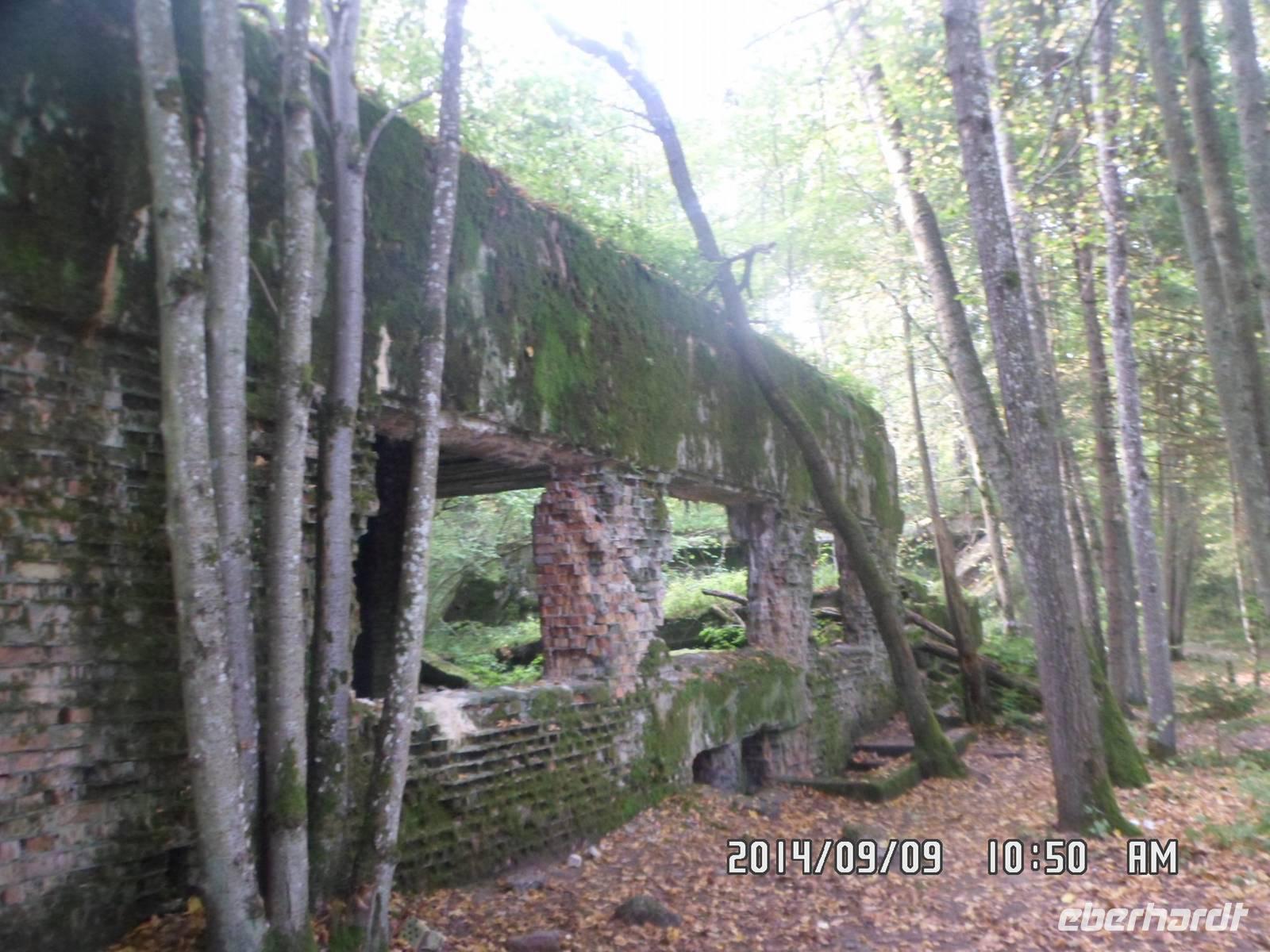 Radreise Masuren Sept. 2014 085/Wolsschanze