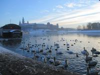Morgentlicher Blick über die Weichsel zum Wawel