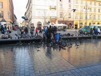 Tauben füttern auf dem Rynek