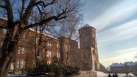 Traumhaftes Winterwetter auf der Anlage des Wawels