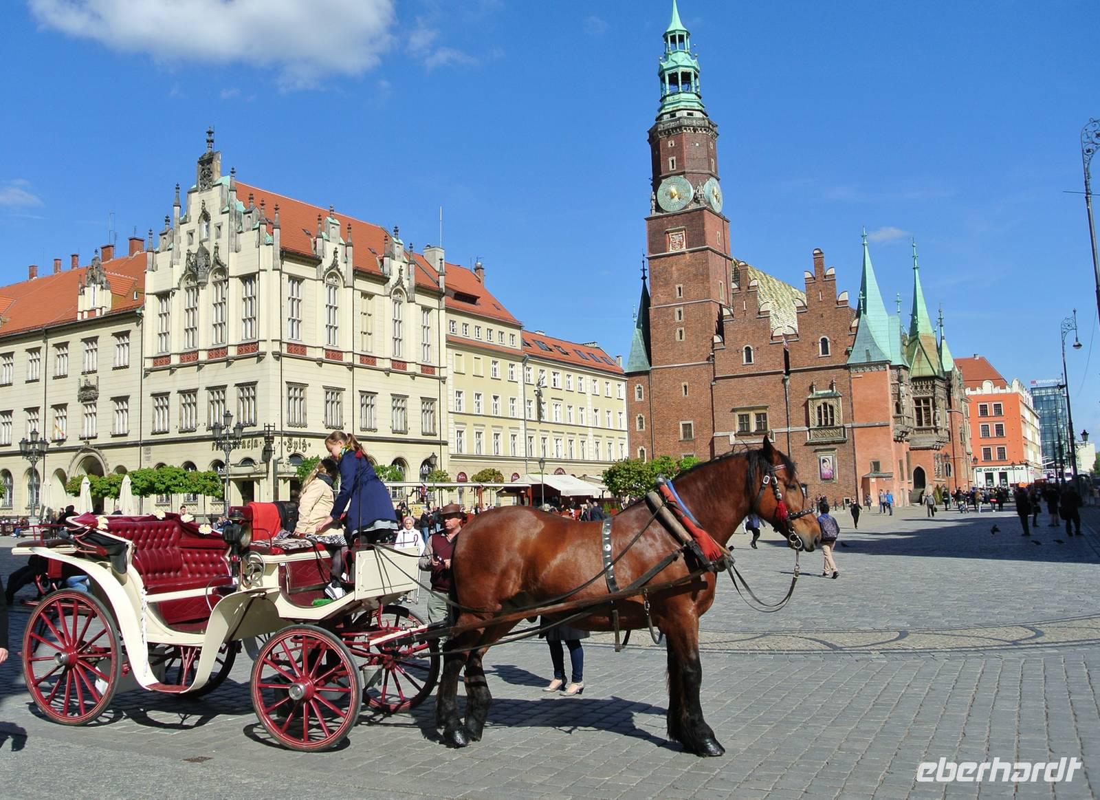 Pferdekutsche auf dem Rynek