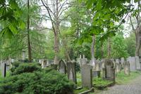 Jüdischer Friedhof