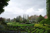 Botanischer Garten auf der Dominsel