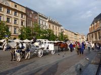 Edle Droschken auf dem Rynek in Krakau