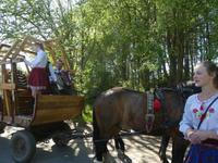 Auf zum Bauernhof