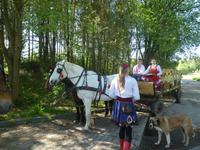Auf zum Bauernhof