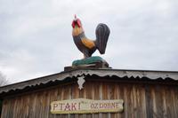 Ausflug nach Elk