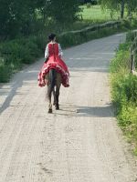 Bauernhochzeit (2)