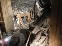 Bergleute Wieliczka