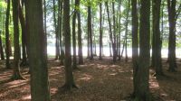 Blick am Studnica See