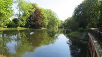Blick auf den Teich im Park Jan Henryk Dabrowski in Kolberg