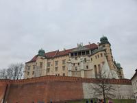 Blick auf den Wawel
