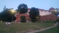 Burg Wawel