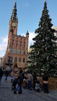 Das alte Rathaus von Danzig