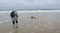 Den freien Tag am Strand genießen 