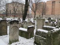 Der Friedhof an der Remus-Synagoge