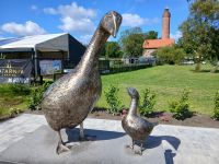 Die Gänse von Gaski