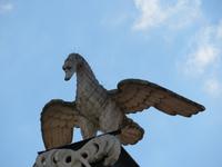 Drache oder Gans