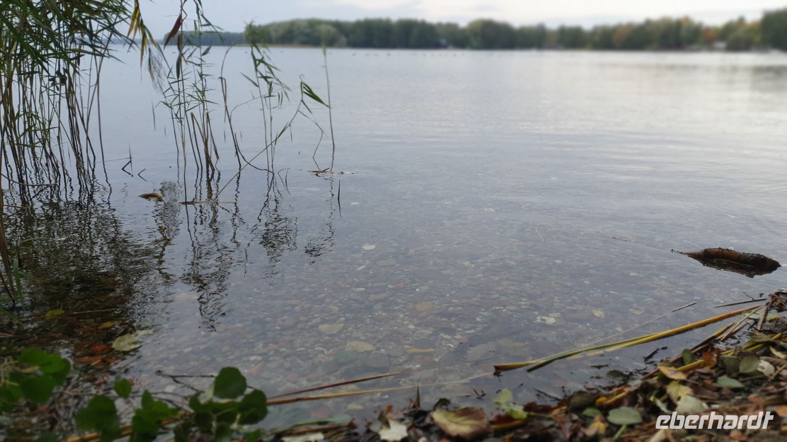 Dratzigsee