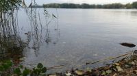 Dratzigsee