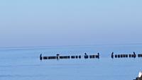 Dzwirzyno, Strandspaziergang zum Hafen