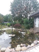 Gartenanlage Hotel