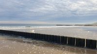 Guten Morgen Ostsee 