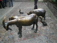 Jatki.