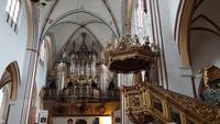 Kamien Pomorski- Orgel in der Kathedrale