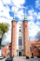 Kathedrale zu Oliva (2)
